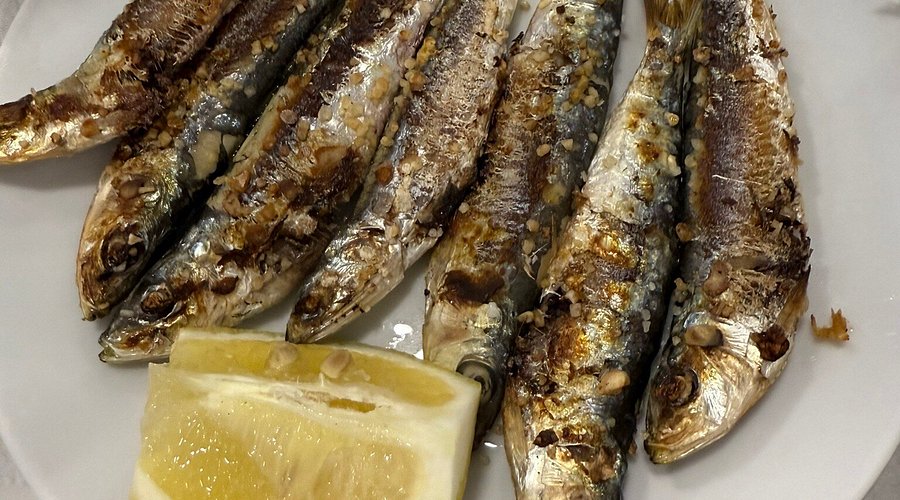 The 10 (+ 3 Extra!) Best Restaurants in Nerja, Spain: Top Dining Spots You Can't Miss